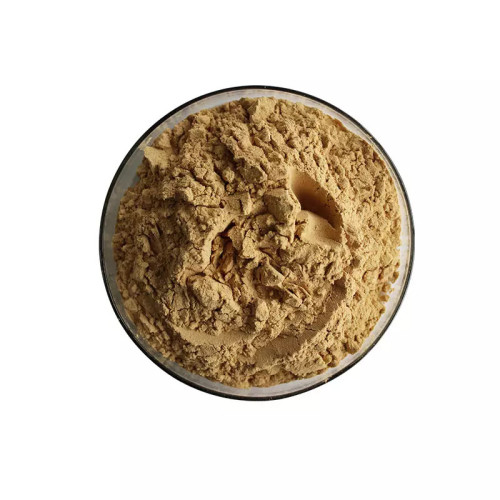 Male Sexual Oyster Meat Extract Powder