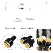 Double head ultrasonic beauty device