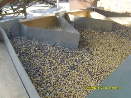 Sunflower Sesame Seed Gravity Destoning Machine