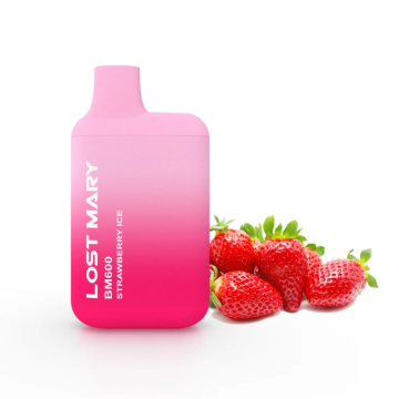 Lost Mary BM600 Disposable Vape Device