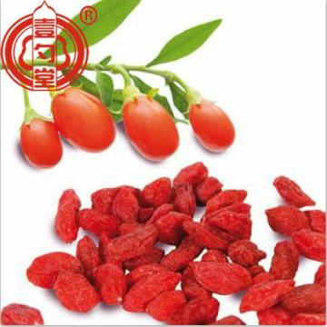 ผลไม้เบอร์รี่สีแดงสดของ Goji Berries
