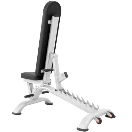 Body Building Metal Foldable Adjustable Dumbbells Bench