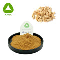 Radix Ophiopogon Extract Powder Powarf Lilyturf Raiz Tuber