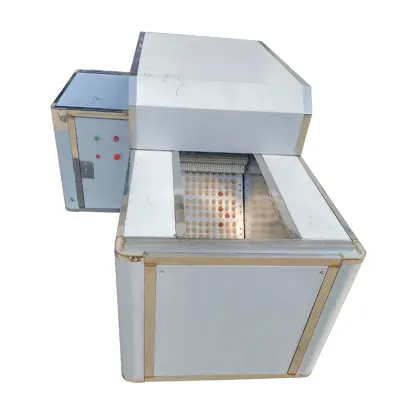 Longan Seeds Pitter Machine | Green Plum Cherry Pitting Equipment