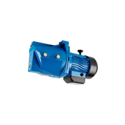 Self-Priming Garden Pump JSW/JSP Series for Clean Water Transfer