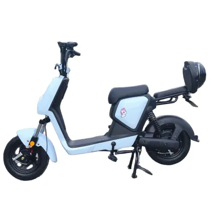2020 Changli Electric Bicycles - Electric Bike Reviews and Information