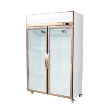 2022 Flower Cabinet Preservation Refrigeration Equipment: Cabinet Refrigerators and Evaporative Coolers