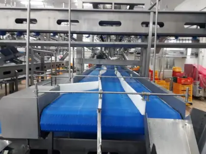 Meat products chain conveyor