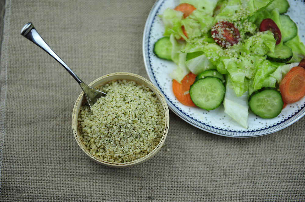 Hemp Seed Protein Balls