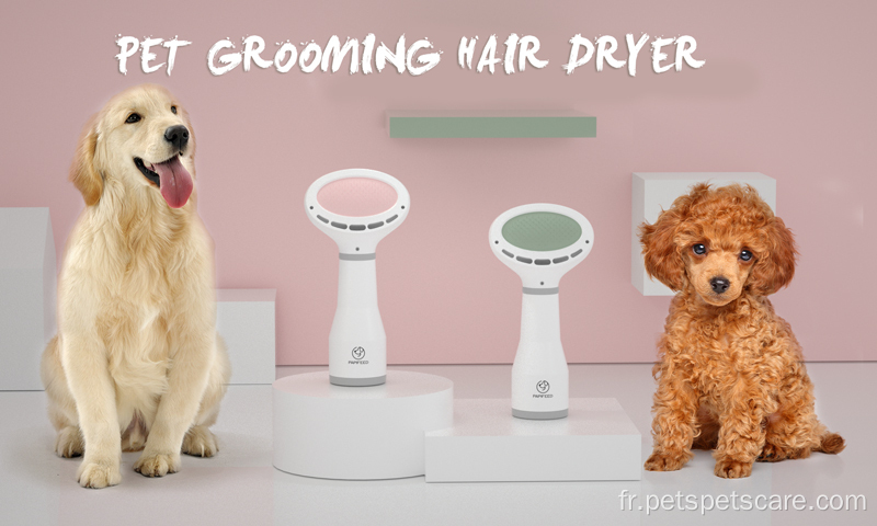 Brosse sèche-cheveux pour chien et chat