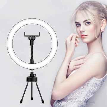 LEDEAST 10.2 Dimmable LED Desk Makeup Beauty Ring Light with Phone Holder