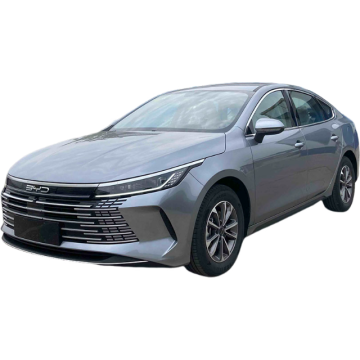BYD Destroyer 05 2024 Glory Edition Luxury