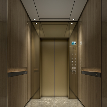 FUJI Passenger Residential Elevator Prices for Construction and Building Projects