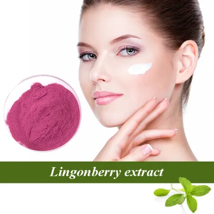 Organic lingonberry powder bulk