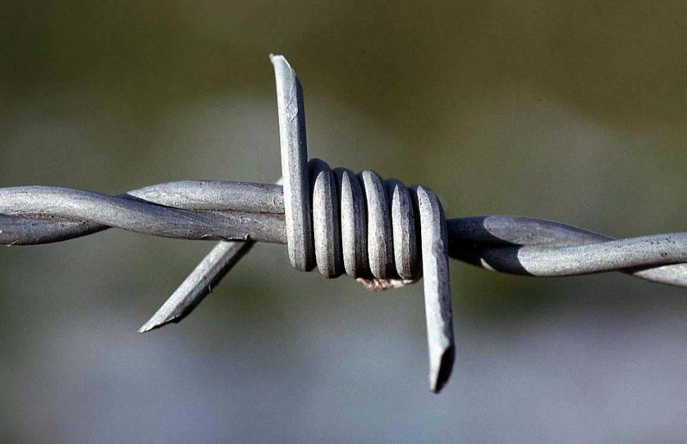 bouquet of barbed wire 1976