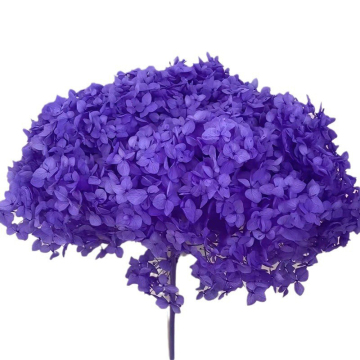 Factory Direct Wholesale Real Touch Immortal Hydrangea Dried Flowers