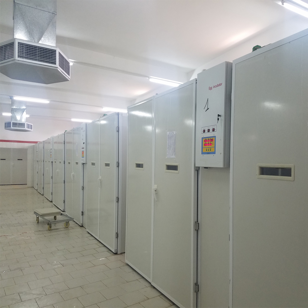 Incubator de ouă utilizat în industrie