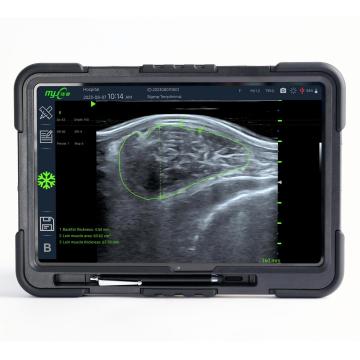 FastScan Bio swine ultrasound machine for sale
