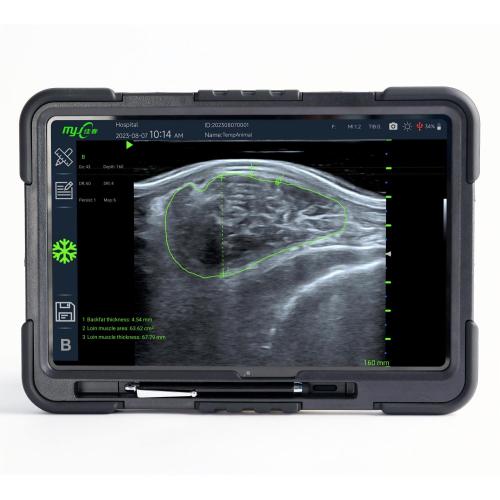 FastScan Bio swine ultrasound machine for sale