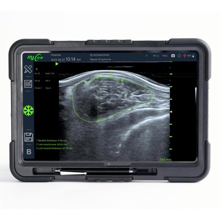 FastScan Bio swine ultrasound machine for sale