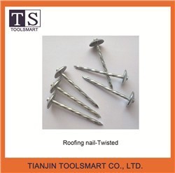 flat head roofing nail for Kenya