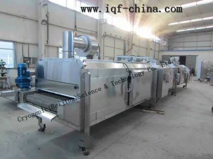500kg/h tunnel quick freezer