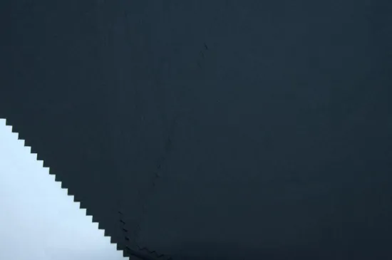 high quality Recycle polyester 350T pongee