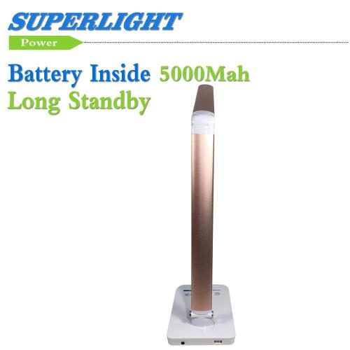Desk Lamp Table Lamp Reading Lamp Build-in Battery