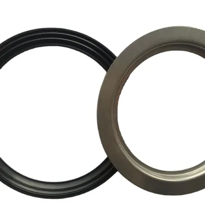 STA VV900D Oil Seal 116*170*14.9 BAOFSFX7 for SAKAI ROLLER Machine