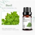 Pure Aroma Basil Essential Oil Padritor de etiqueta privada personalizada