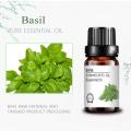 Pure Aroma Basil Basil Essential Oil Custom Private Relab para a pele