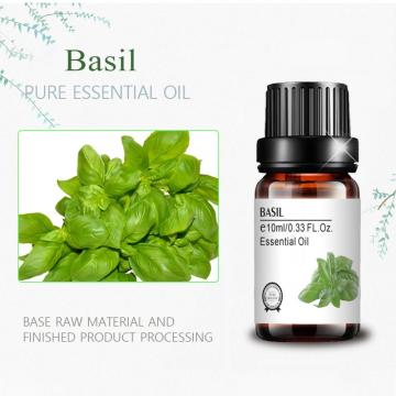 Pure Aroma Basil Basil Essential Oil Custom Private Relab para a pele