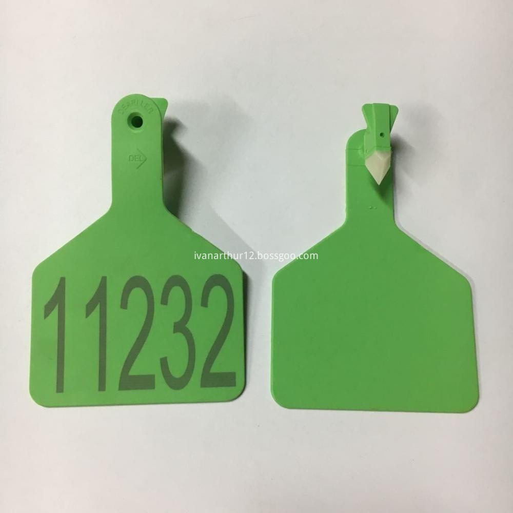 Z Tag Cattle Ear Tag 11075 3