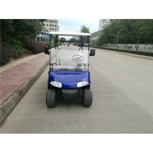 venta caliente coche de golf pequeño de 2 plazas