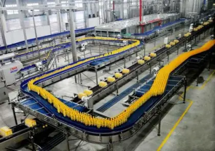 Auto Fruit Nectar Juice Filling and Packing Machine