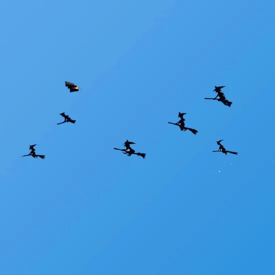 free shipping large 4m Witch with Broom soft kites flying pendant kite outdoor toys octopus kite reel power kite for adults new