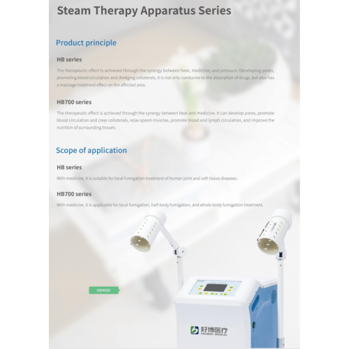 Vertical type Steam Therapy Apparatus