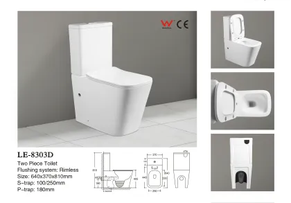 Matt Grey Luxury Design P-Trap & S-Trap Two-Piece Toilet