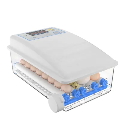 Factory-Price Automatic Chicken Egg Incubators: Professional Hatching Equipment