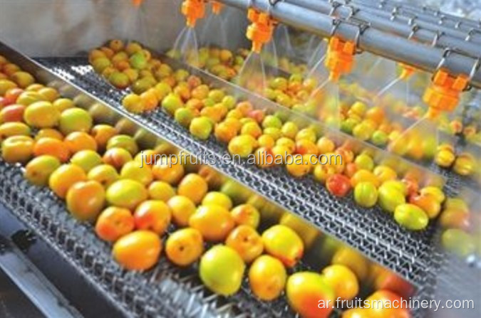 خط معالجة الفاكهة المجففة آلة صنع المشمش المجفف