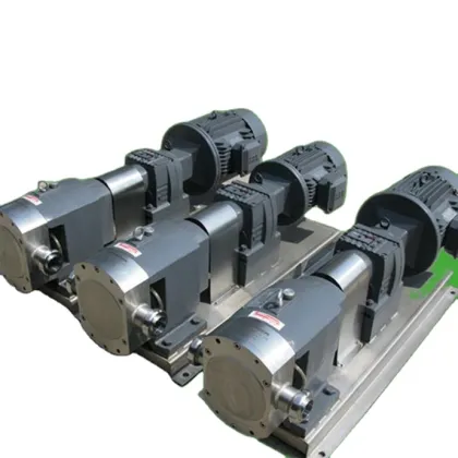 High-Viscosity Food Sanitary Lobe Rotor Pump - Dajiang Pumps Stainless Steel Rotor Pump