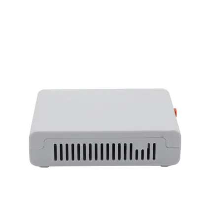 Low Price GPON Optical Networks Gigabit 1GE ONT