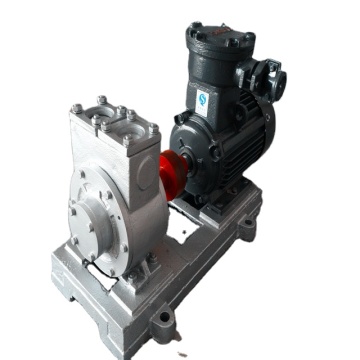 YPB-65 Clean Oil Slide Pump with Strong Self-Priming Ability for Diesel and Gasoline
