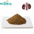 40% HPLC 4-hydroxyisoleucine Fenugreek Extract Powder