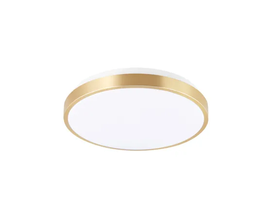 24W indoor ceiling light
