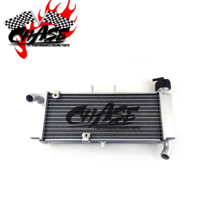 Zongshen Zonsen Aprilia Cafe 150 Motorcycle Engine Parts Water Cooler Radiator