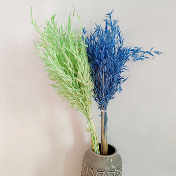 Yunnan Eternal Oat Restaurant and Homestay Hotel DIY Materials: Preserved Flowers & Plants for Bouquet Decoration