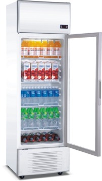 680L single glass door upright commercial beverage cooler LG-680W