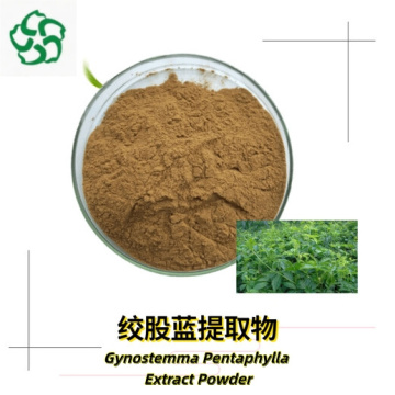Gynostemma Pentaphylla Jiaogulan Extract Powder