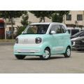 2024 New Energy Vehicles Micro Electric Vehicles Cheap Micro Electric Vehicles